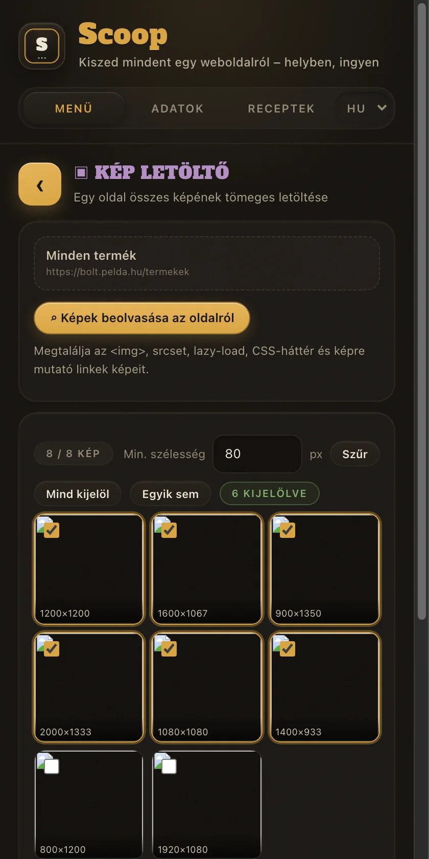 A Kép letöltő a megtalált képekkel, méret szerinti szűréssel